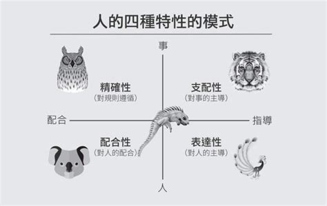 老虎 考慮|你是老虎、孔雀、貓頭鷹還是無尾熊？瞭解「性格」，。